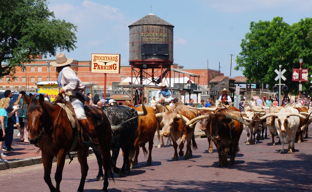 Eat, See, and Explore the best of Dallas/Fort Worth in just 2days