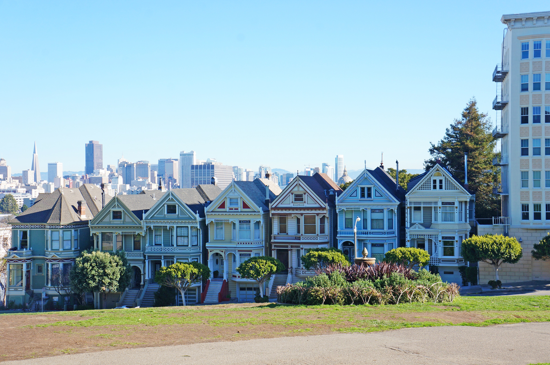 Painted Ladies San Francisco One Broads Journey