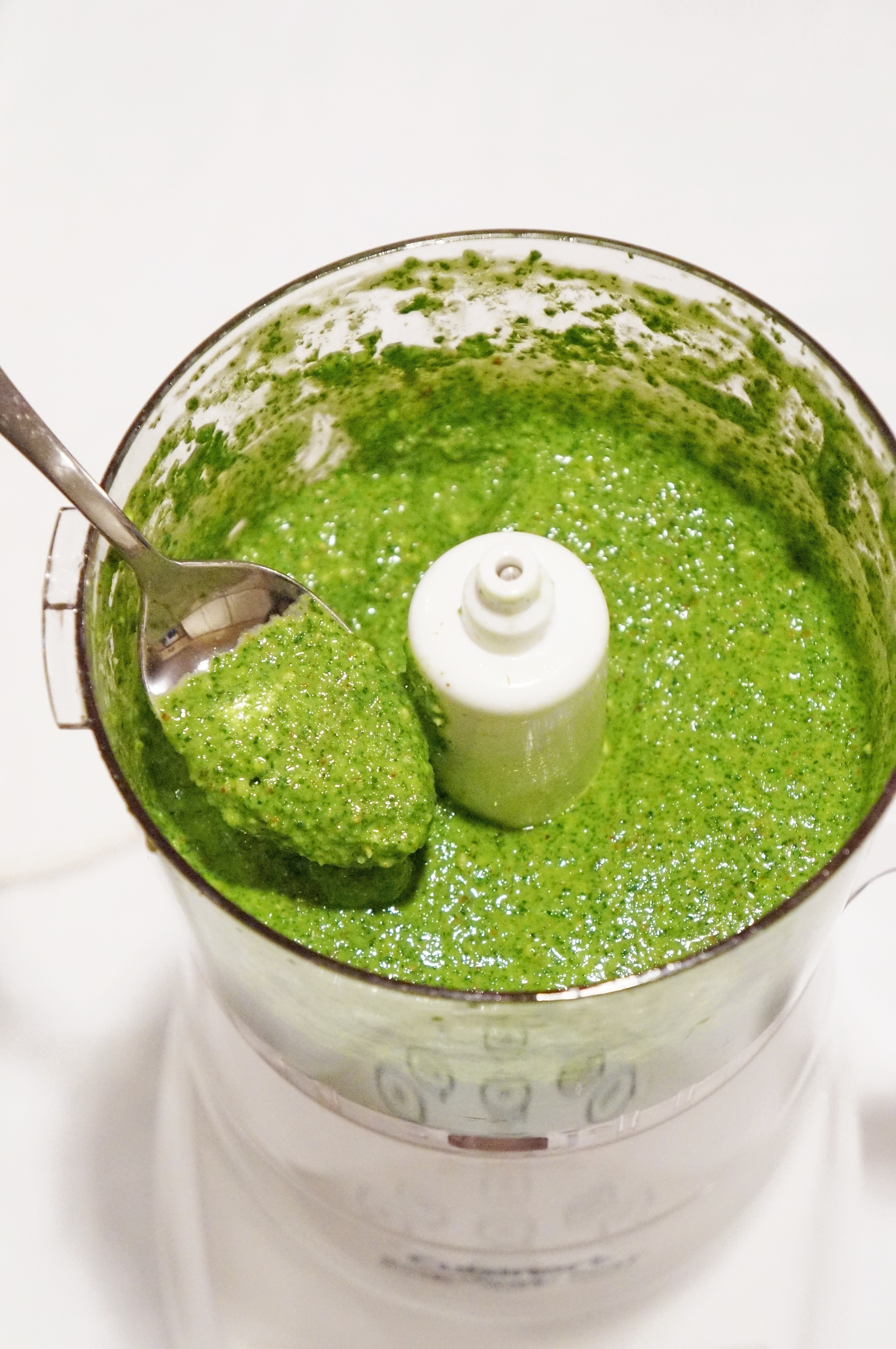 Vegan Kale Pesto