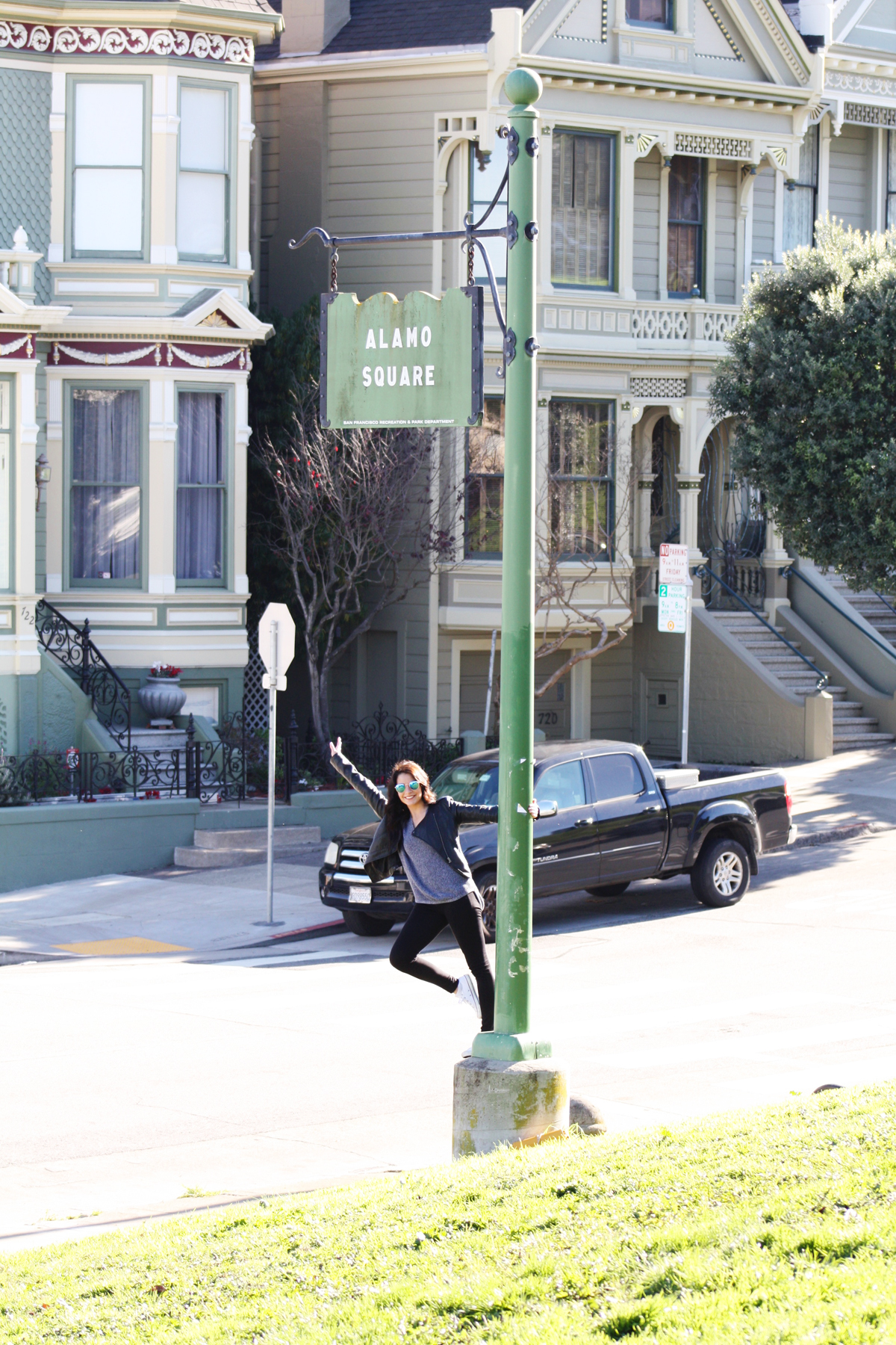 Painted Ladies San Francisco One Broads Journey