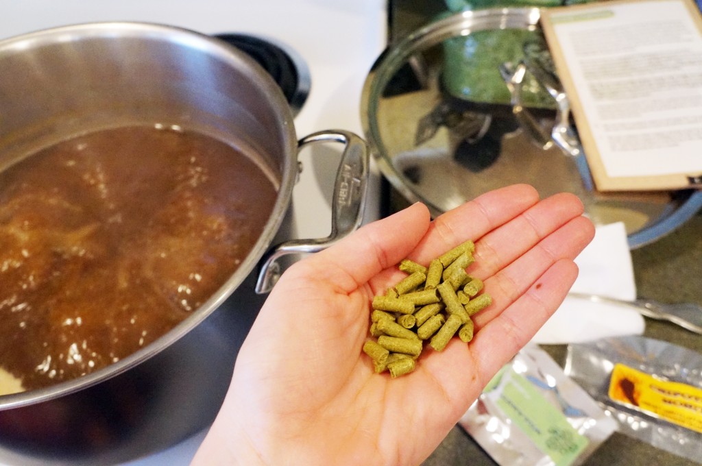 How to Beer Brewing in an apartment