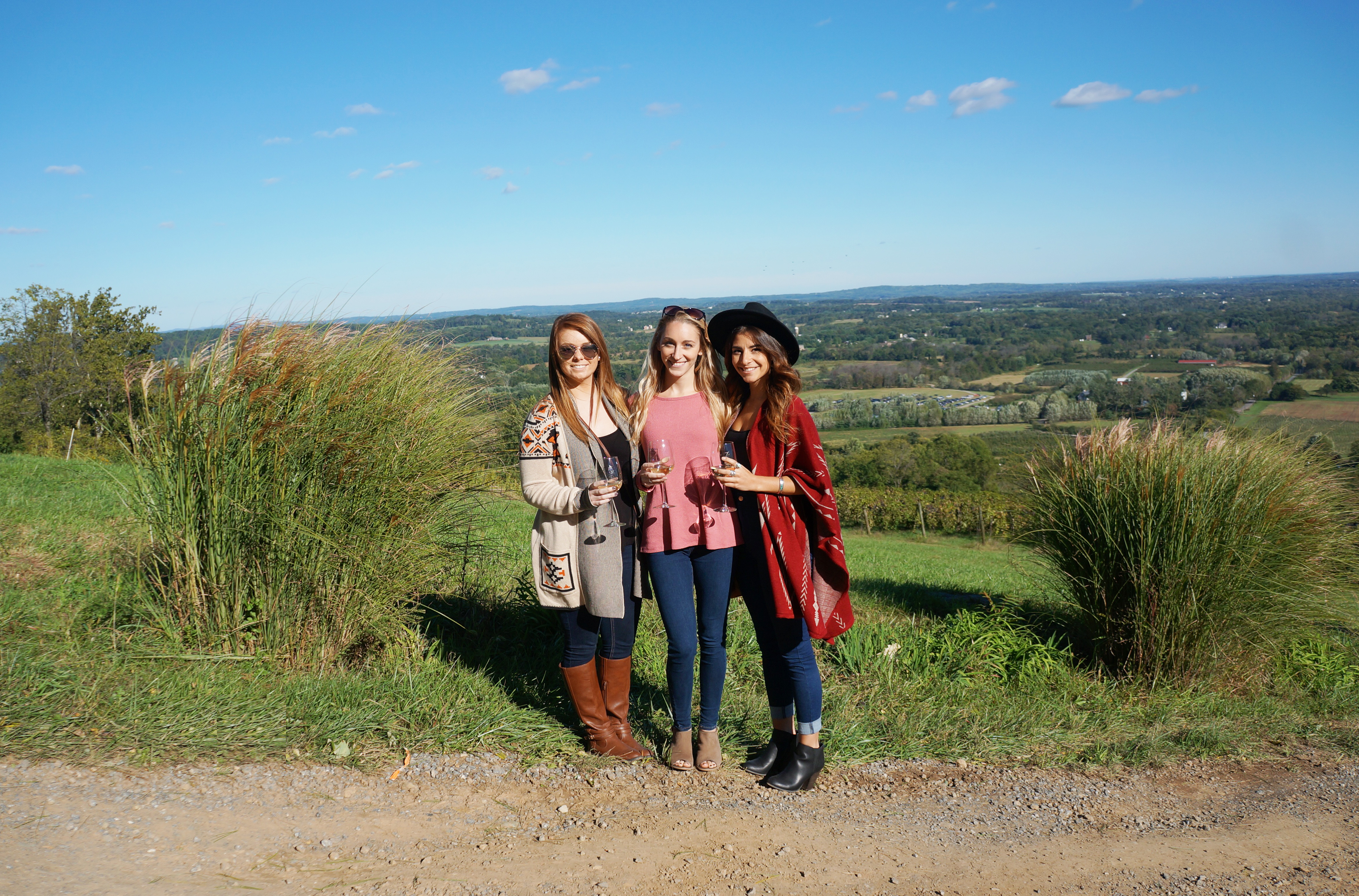 Bluemont Vineyard in Fall