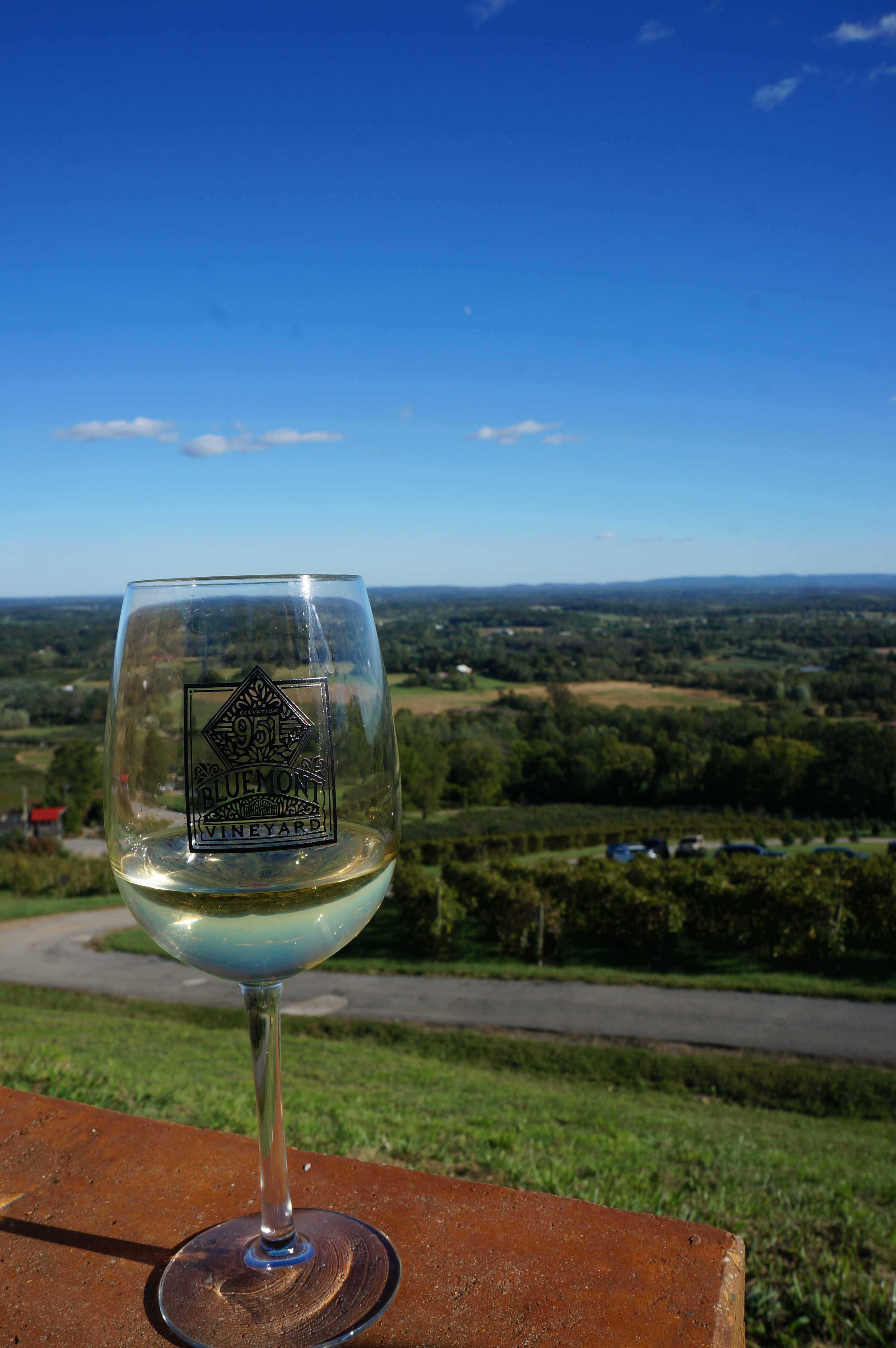 Bluemont Vineyard in Fall