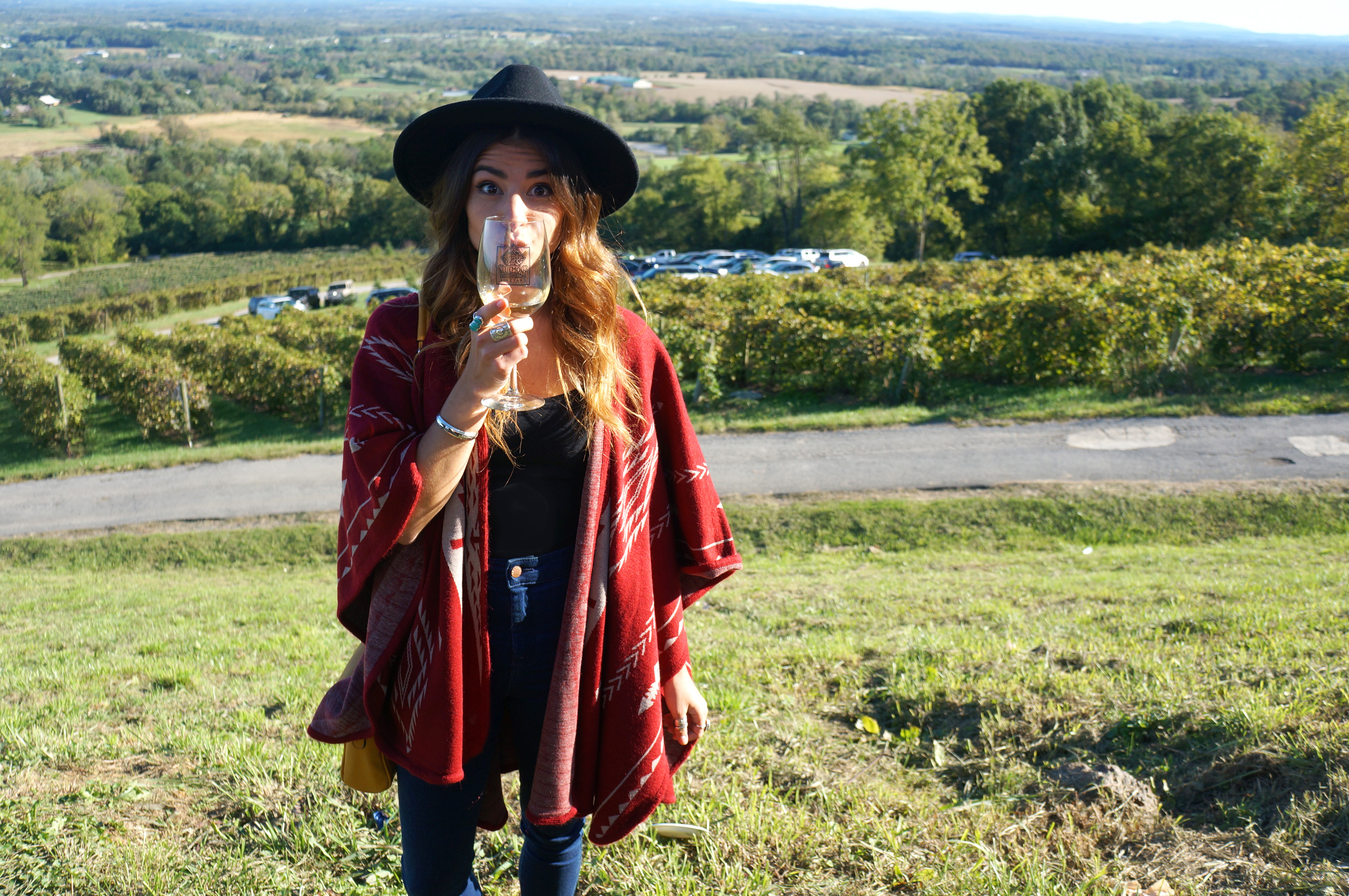 Bluemont Vineyard in Fall