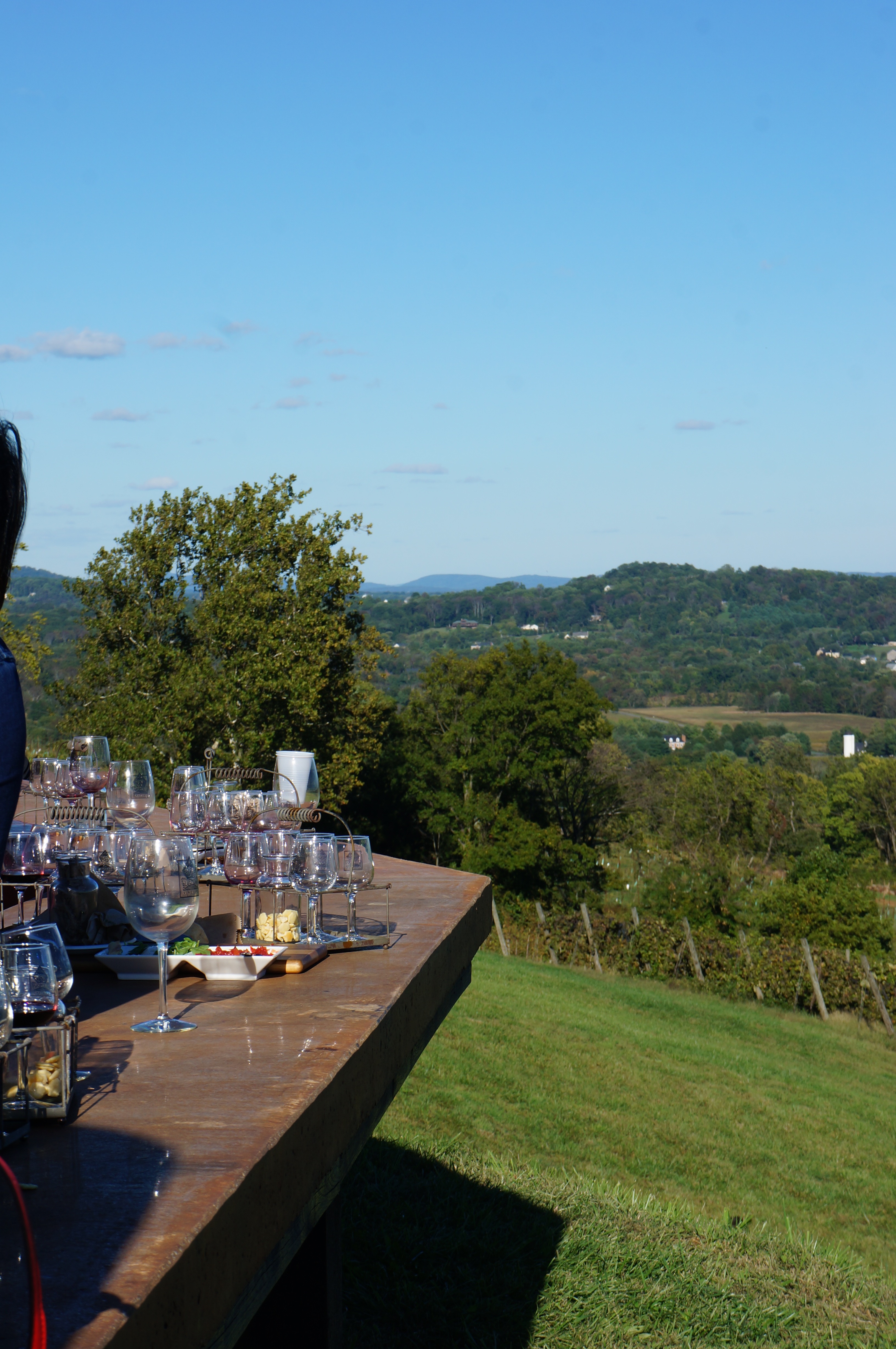 Bluemont Vineyard in Fall