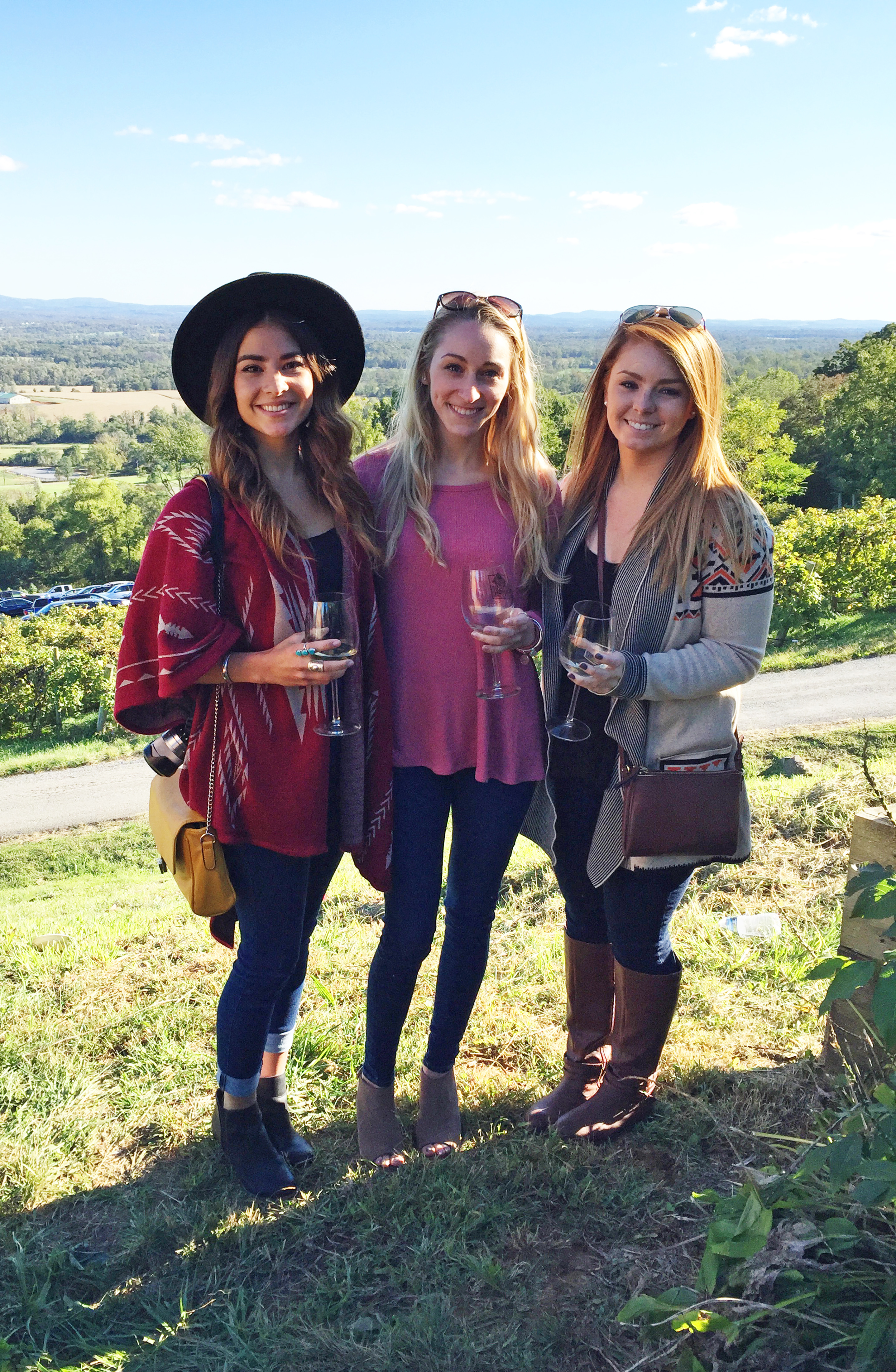 Bluemont Vineyard in Fall