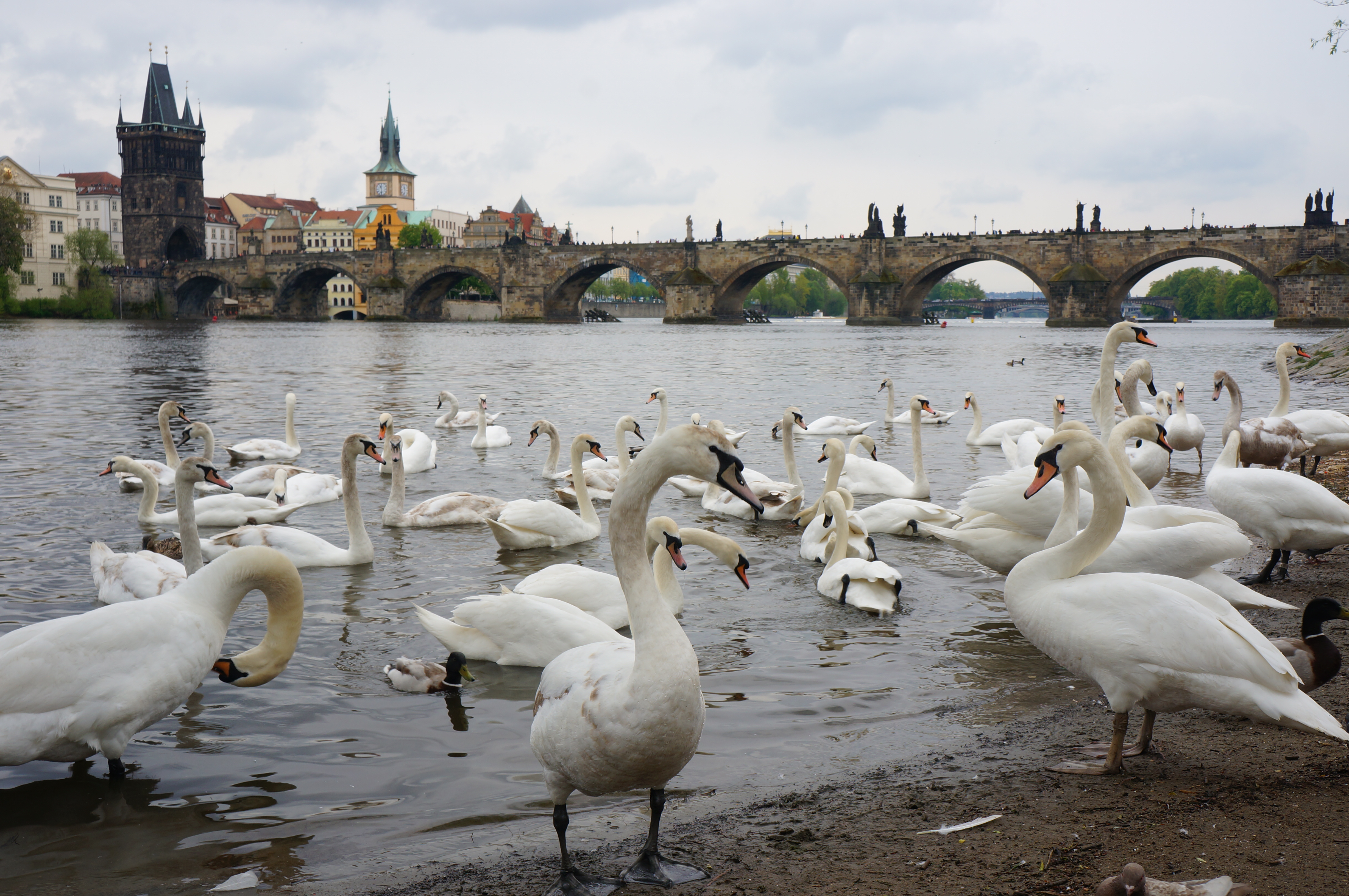 A Three Day Walking Guide to Prague