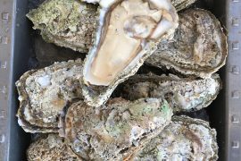 Grilled Oyster and Oyster Rockefeller Recipes